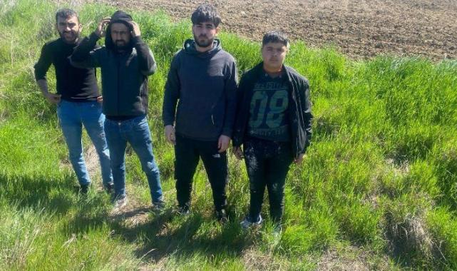 Edirne’de 4 göçmen yakalandı