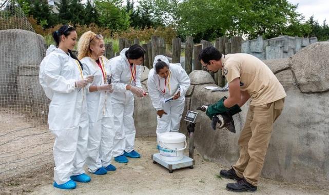 Erasmuslu öğrenciler Bursa Hayvanat Bahçesi’nde