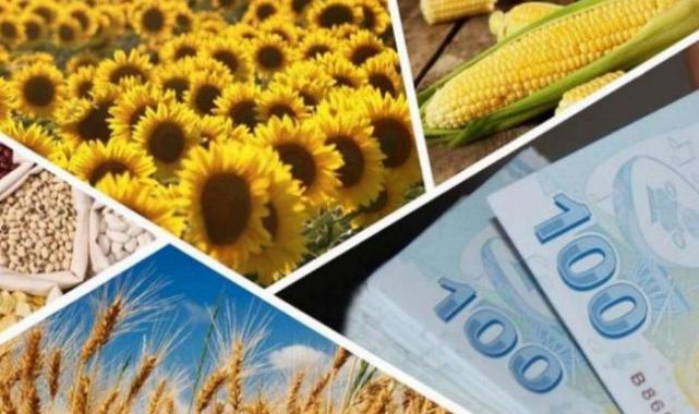 1,2 milyar TL’lik tarımsal destek hesaplarda