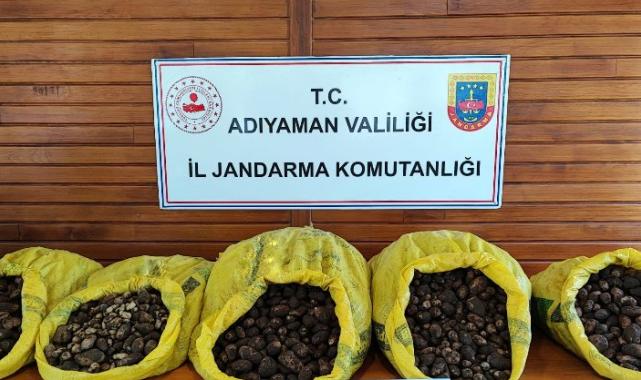 Adıyaman’da biyolojik çeşitliliğin tahribine 2 milyon TL ceza!