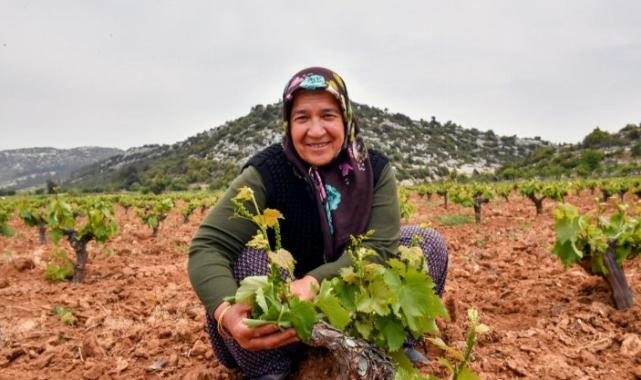 Çiftçinin yüzü organikle gülüyor