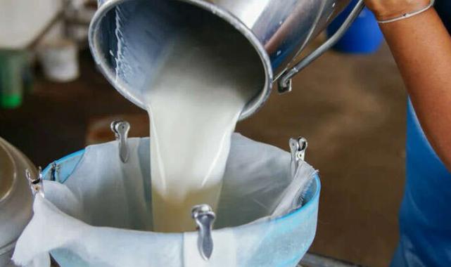 Çiğ süt üretimi azaldı!