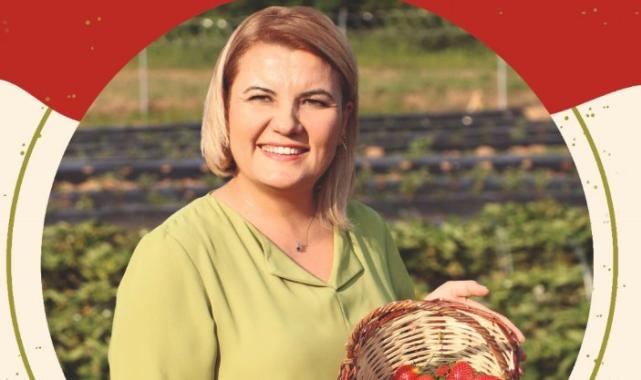 Çilek Köy’de çilek hasatları başlıyor