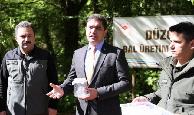 Düzce Valiliğinden gal arısı ile mücadele