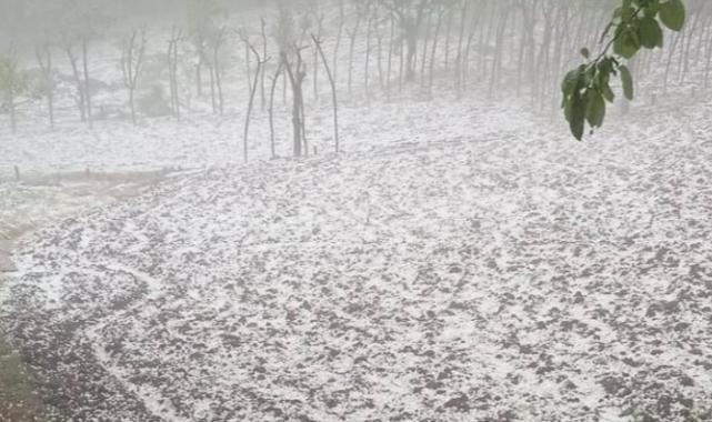 Düzce’de dolu yağışı hayatı olumsuz etkiledi
