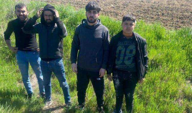 Edirne’de 4 göçmen yakalandı!