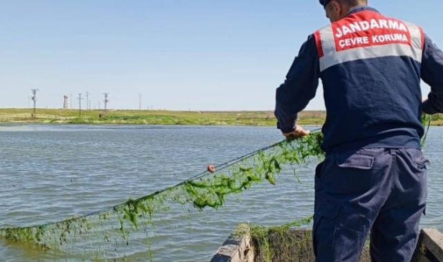 Edirne’de jandarma balık ağlarını topladı