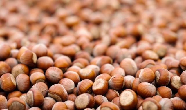 Ferrero Grubu, hedeflerine ulaşma yolunda önemli ilerleme kaydetti