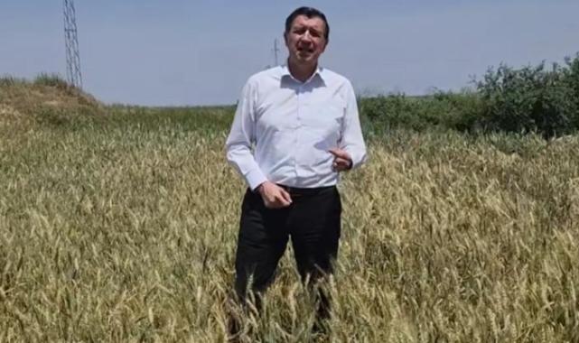 Gaytancıoğlu: Buğday fiyatı en az 15 TL olmalı