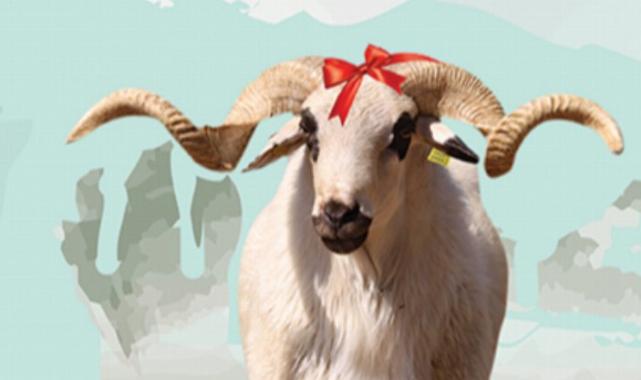 Gebze’de kurban satış alanı kayıtları başladı