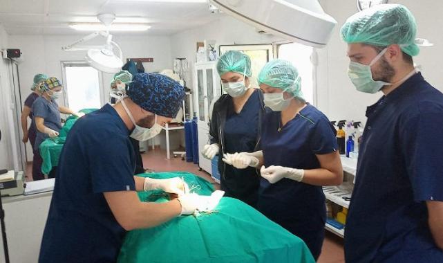 Geleceğin veteriner hekimlerine Osmangazi’de eğitim