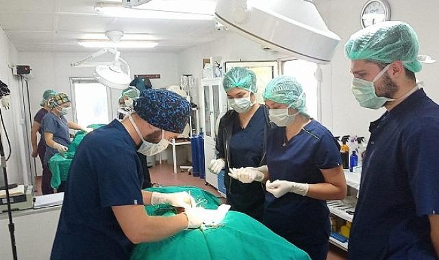 Geleceğin veteriner hekimlerine uygulamalı eğitim