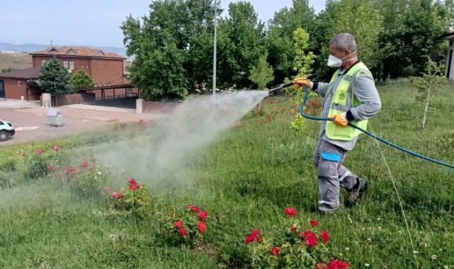 Malatya’da ilaçlama çalışmaları yoğun bir şekilde sürdürülüyor