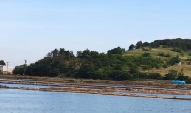 İpsala’da çeltik ekim müracaatlarında son gün 25 Haziran