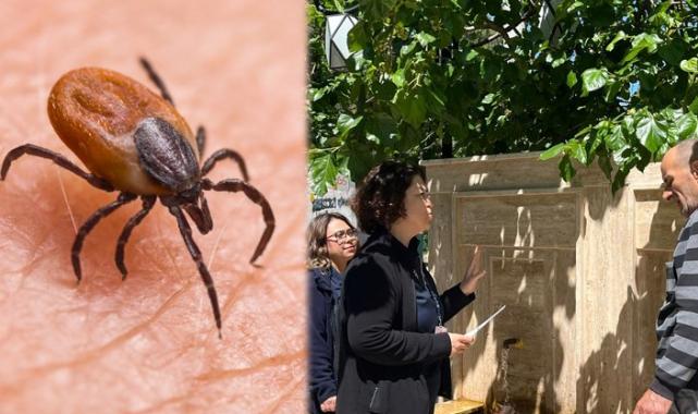 Kene ısırıklarına dikkat! Öldürebilir