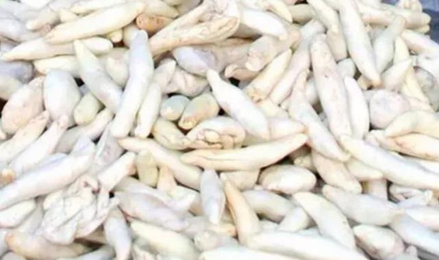 ‘Kenger Sakızı Yapımı’ ulusal envantere girecek