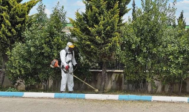 Kocaeli Dilovası’nda yaz temizliği