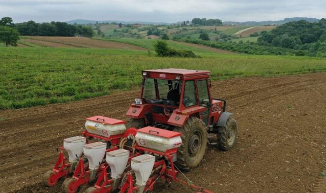 Kocaeli’de mısır tohumları toprakla buluşuyor