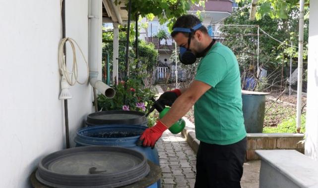 Kocaeli’de sivrisineklerle mücadele çalışmaları sürüyor