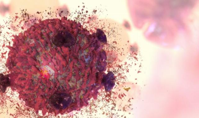 LÖSEMİ hakkında bilinmesi gereken 8 önemli nokta