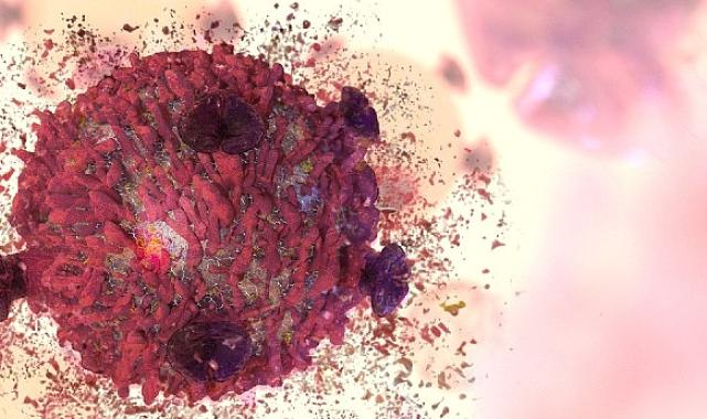 Lösemi Hakkında Bilinmesi Gereken 8 Önemli Nokta