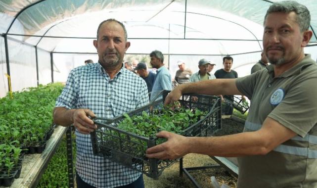 Muğla Milas’ta üreticilere fide desteği