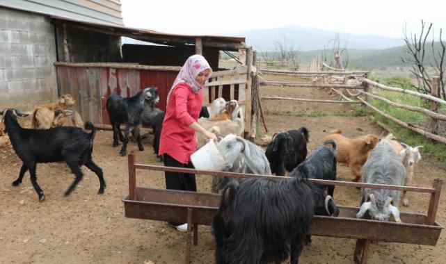 Muğlalı kadın üreticiler kazanıyor