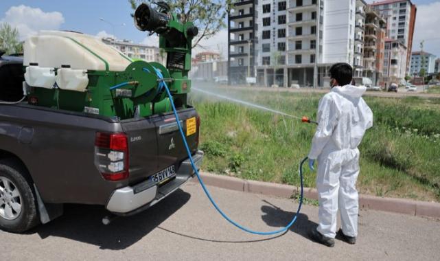 Sivas’ta haşere ile mücadele çalışmaları devam ediyor