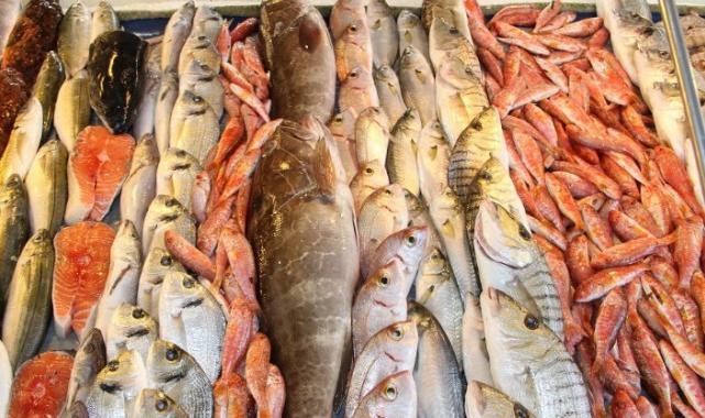 Su ürünleri ihracatı arttı… Levrek 517 milyon dolar, Çipura 418 milyon dolar kazandırdı