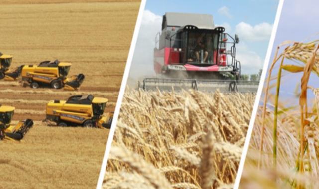 Tarım sektörü de ilk çeyrekte büyüdü