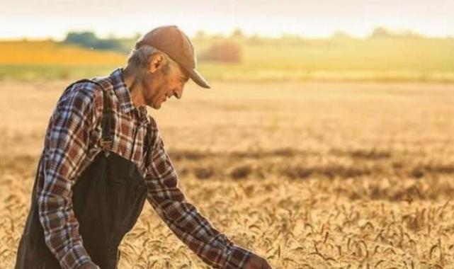Tarımsal üretim kredilerinin esasları belirlendi