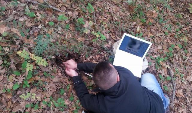 Yaban Hayatı Derneği: “Soruşturmanın takipçisi olacağız”