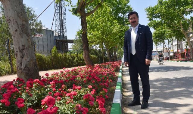 Yenişehir’in vitrini çiçek açacak