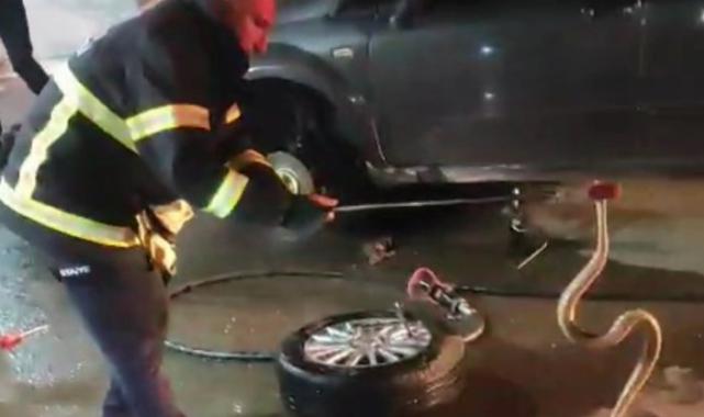 Adıyaman’da konteyner kentte yılan paniği!