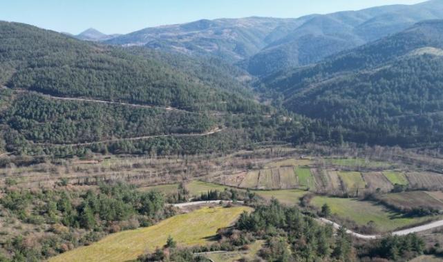 Arsalar yükselen değer olmayı sürdürüyor