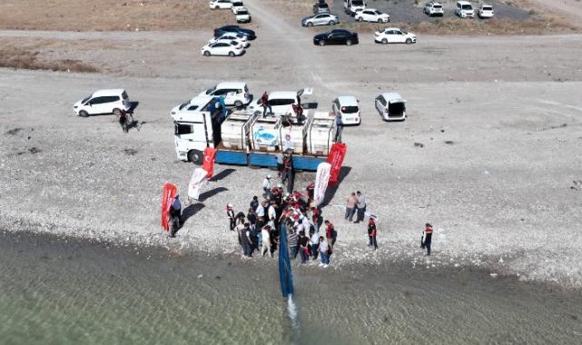 Başkan Çolakbayraktar: ‘İç denizimiz Yamula’ya 800 bin yavru sazan bıraktık’’