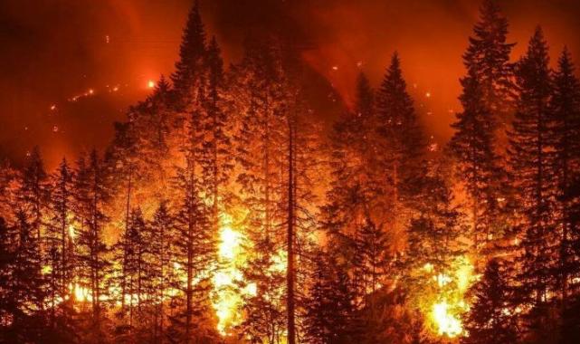 Bursa İtfaiyesi’nden orman yangınlara karşı duyarlılık çağrısı