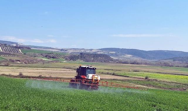 Bursa Mudanya’da süneyle kimyasal mücadele başladı