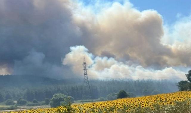 Bursa Nilüfer’deki orman yangını üniversiteye sıçradı