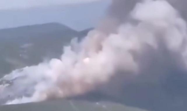 Bursa’da orman yangını!