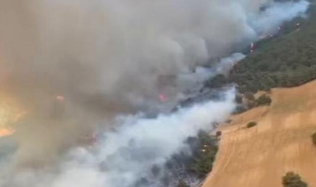 Çanakkale Eceabat’ta yangına müdahale sürüyor!