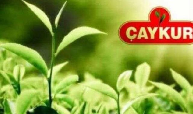 ÇAYKUR 213 bin ton yaş çay aldı