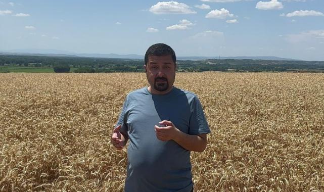 CHP’li vekilden TMO’ya buğday tarlasından tepki