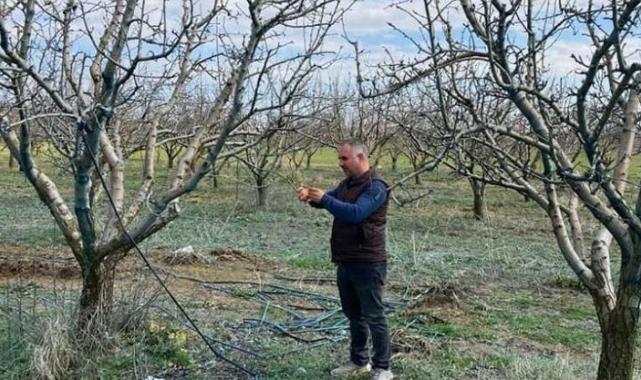 Devlet destekli tarım sigortalarında büyük artış
