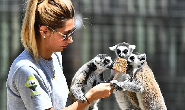 Doğal Yaşam Parkı sakinlerini serinleten menü