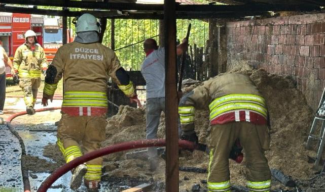 Düzce’de ahır yangını! 2 hayvan telef oldu