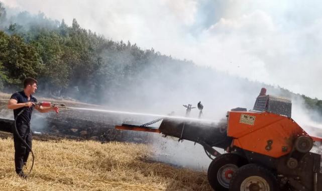 Edirne’de anız yangını ormana sıçradı