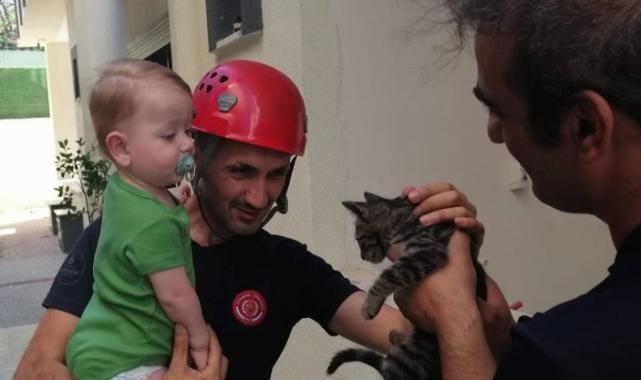 En çok kediler kurtarıldı… İstanbul’da 5 ayda 6 bin hayvan kurtarıldı