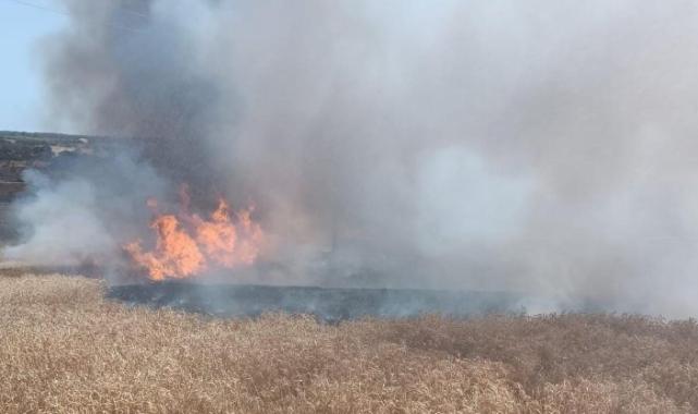 Enez’de buğday tarlasında yangın!