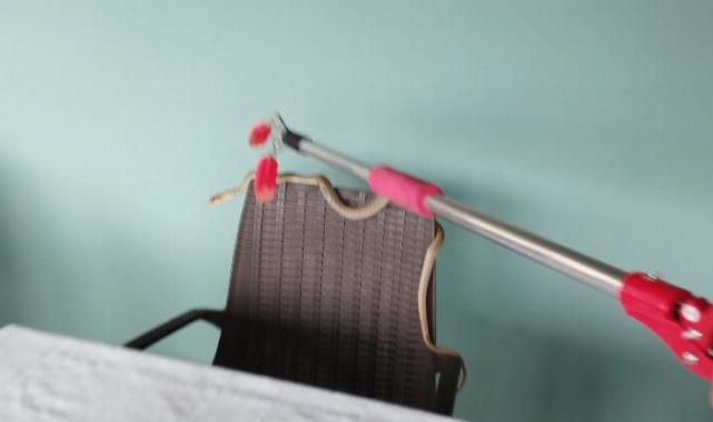 Engelsiz Yaşam Merkezi’nde yılan paniği